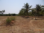 51816Tank ID 1800151 Brahmasandra 3.JPG