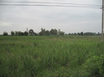 34454IMG_5437.JPG