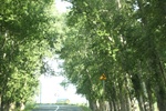 2024-08-05_14-21-45_7F57DB83-0324-4565-B61D-38D557B55108.jpeg