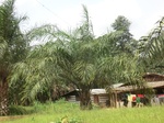 49234CIMG5571.JPG