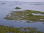 34585RIMG0051.JPG