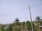 3783RIMG0087.JPG