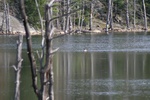 382IMG_3491.JPG