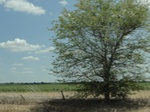 35108DSC02311.JPG