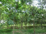 34814CIMG1463.JPG