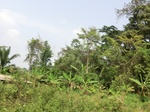 49725CIMG6062.JPG