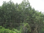 33658IMG_5854.JPG