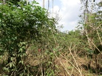 46563CIMG0852.JPG