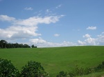 32498p159.jpg