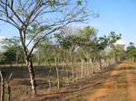 31812IMG_5392.JPG