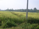 33707RIMG0325.JPG