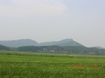 53874CIMG2831.JPG