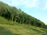 57779IMG_1066.JPG