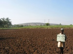 7828gt052a-cropland-irrigation-major-hidkal-dam.jpg
