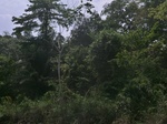 49633CIMG5970.JPG