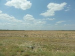 35703DSC02207.JPG