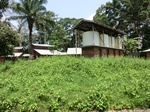 46451CIMG0740.JPG
