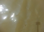 58551CIMG3001.JPG