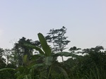 48557CIMG4894.JPG