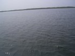 1303R0015101_small.jpg
