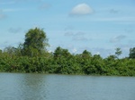 54637Bulungan (147).JPG