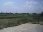 3604 172.jpg