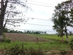 31637CIMG1505.JPG
