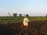 7833gt054b-cropland-irrigated-major.jpg