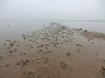 51599CIMG0200-neuclear zone 6.JPG