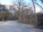 9809DSC04310.JPG