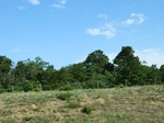 30093CIMG0034.JPG