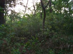 498719042008(87).JPG