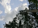 46431CIMG0720.JPG