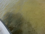 58080CIMG2374.JPG
