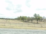 35345DSC02857.JPG