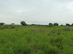 18731P1000569.JPG