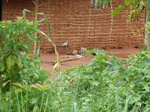 20008P1010858.JPG