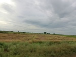 55950CIMG6680.JPG