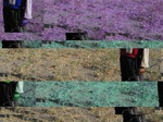 11635073-Rangeland-scrub-a.jpg