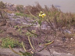 2704 029.jpg