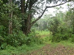 47278CIMG3615.JPG