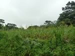 20656P1020513.JPG