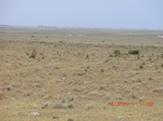 29804CIMG1185.JPG