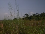 8941RIMG0015.JPG