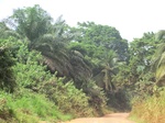 46932CIMG3269.JPG