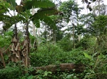 45981CIMG0270.JPG