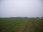 3701RIMG0004.JPG
