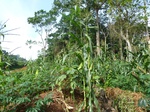 20113P1010964.JPG