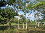 31970IMG_5618.JPG