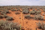 51450WA008_L2.JPG